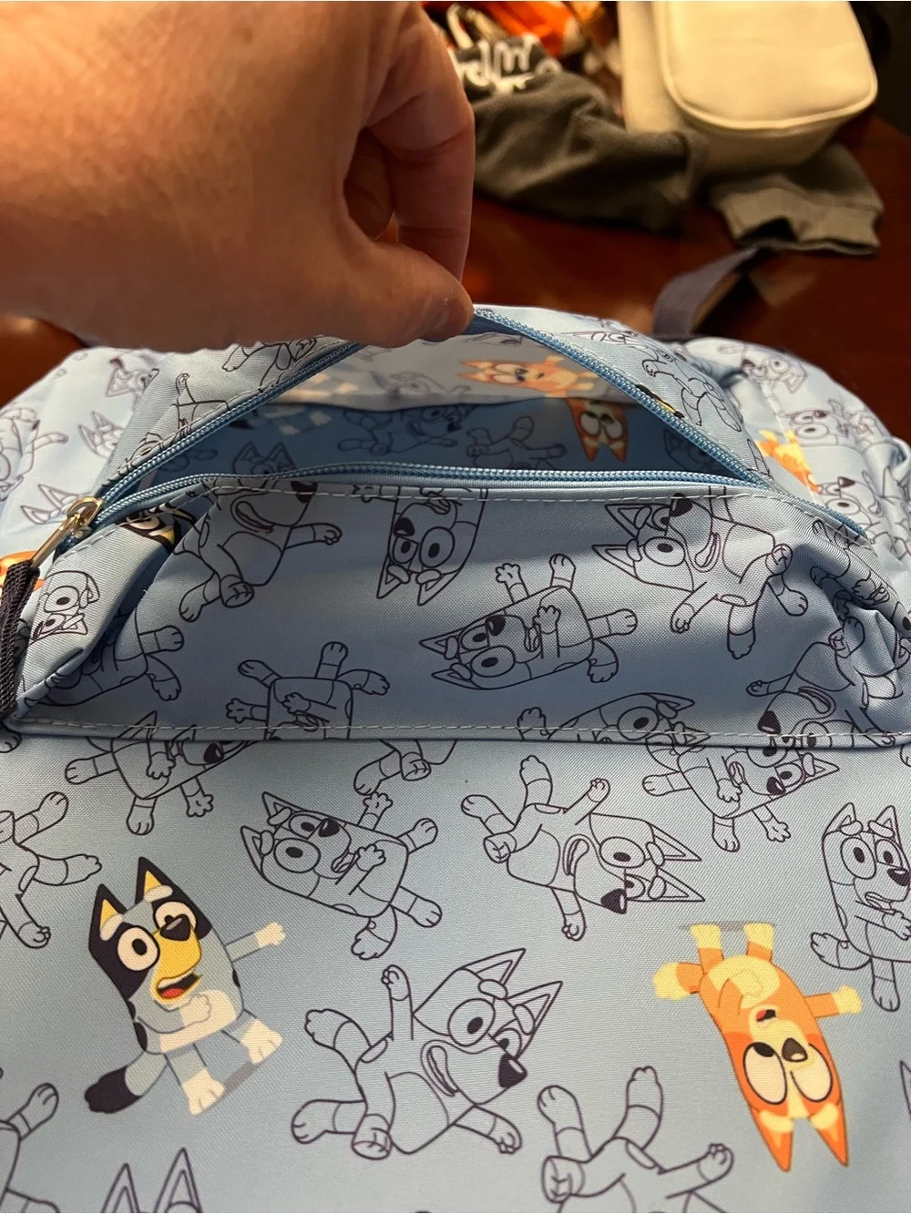 Bluey adorable backpack